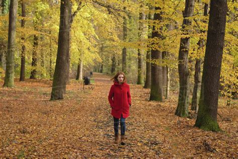 Woman Walking Alone In The Park During Autumn Stock Photo Dissolve