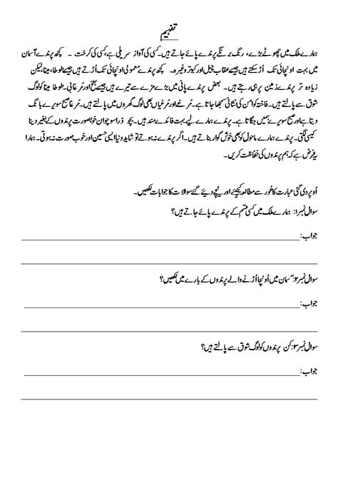 the city school grade 4 urdu revision worksheets