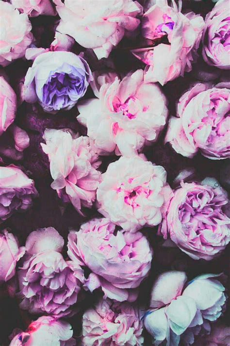 Download Indie Flower Wallpaper Wallpaper