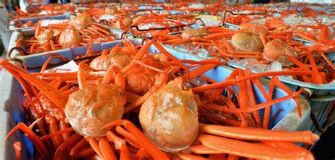 Getting To Know Snow Crabs Facta Media
