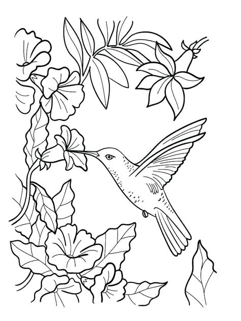 You can print and color immediately. Jasmine Flower Coloring Pages at GetColorings.com | Free ...