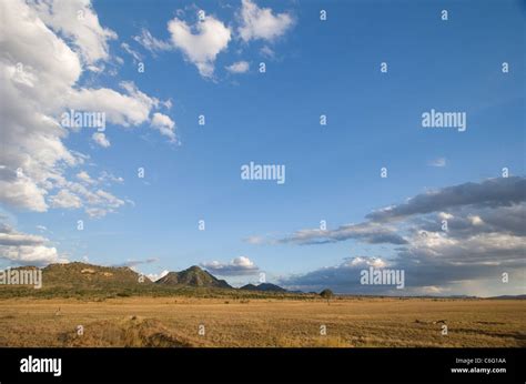 Open Plains Of Tsavo East National Park Kenya Stock Photo Alamy