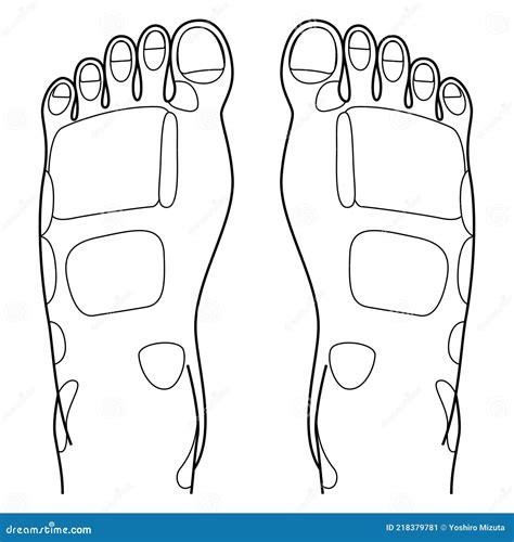 Reflexology Foot Massage Points Reflexology Zones Massage Signs And Colored Points Stock Vector