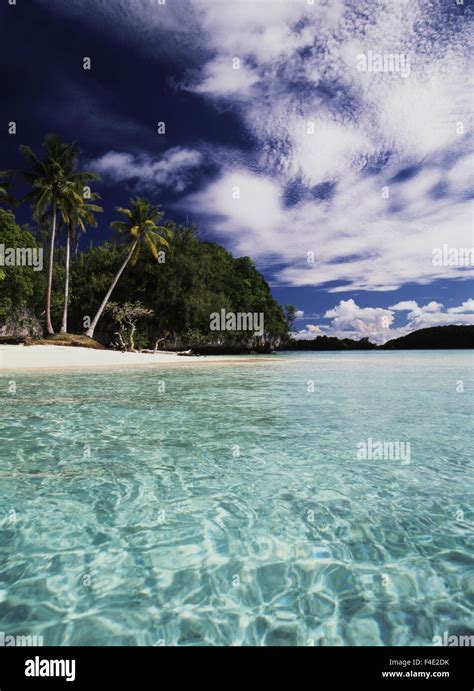 Palau View Of Honeymoon Island Large Format Sizes Available Stock