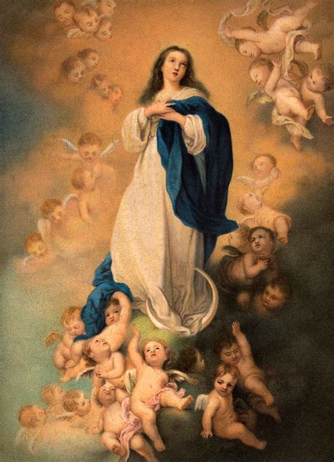 Blessed Virgin Mary Wallpaper 59 Images 37596 Hot Sex Picture