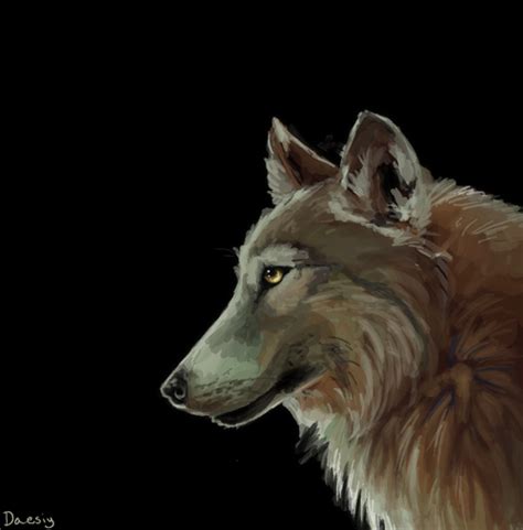 Wolf Speedpaint By Daesiy On Deviantart