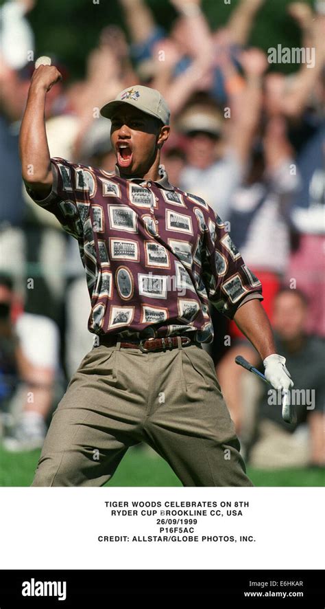 Tiger Woods Celebrates On 8thryder Cup Brookline Cc Usa26091999