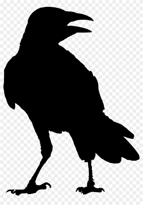 Find Hd Svg Transparent Download Crow Clipart Raven Silhouette Raven