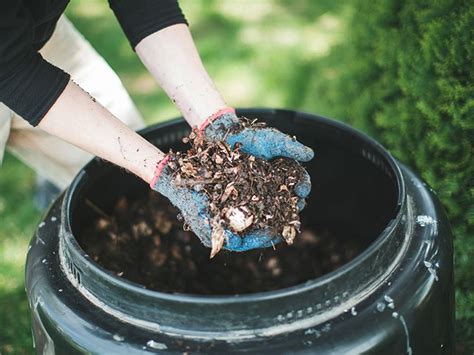 Composting A Complete Beginners Guide
