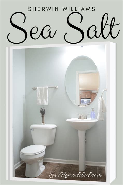 Check spelling or type a new query. Sherwin Williams Sea Salt Paint Color | Sea salt paint ...