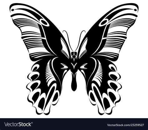 Butterfly Black White Silhouette Design Vector Image On Vectorstock