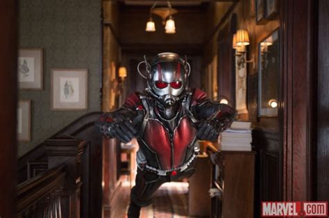 Ant Man New Batch Of Stills Reveal A Cast Of Characters Scifinow