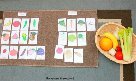Naming Sorting Coloring And Matching Fruits And Vegetables Free