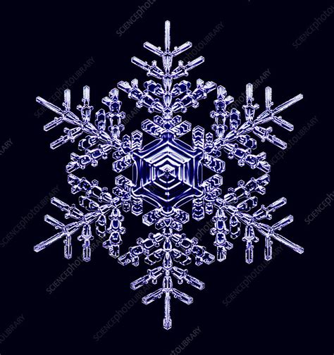 Snowflake Light Micrograph Stock Image C0255909 Science Photo