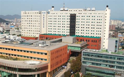 시간표 작성, 강의평가, 자유게시판, 비밀게시판 등 제공. 사망 대구 17세 소년 코로나19 최종 '음성' 판정...영남대의료원은 ...