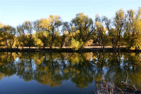 Sun On Autumn Trees Reflected In Water Picture Free
