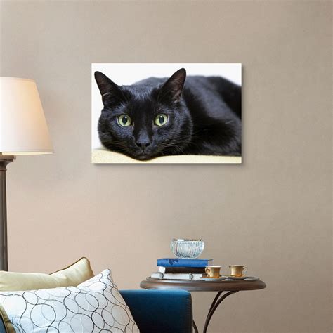 Portrait Of A Cat Wall Art Canvas Prints Framed Prints Wall Peels