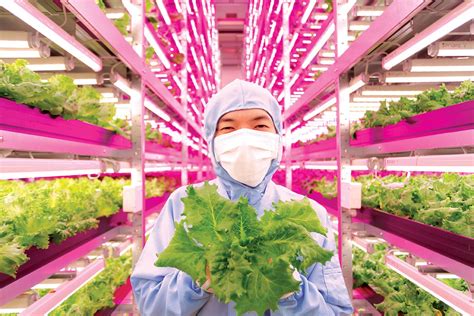 Maybe you would like to learn more about one of these? Spread vegetable factory — Atlas of the Future