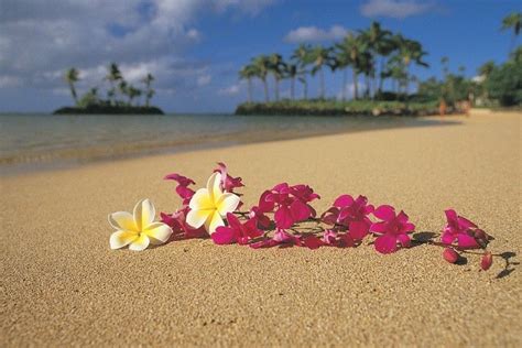 Hawaiian Wallpaper Desktop ·① Wallpapertag