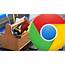 New Study Confirms Google Doesnt Use Chrome Browser Data To Discover 