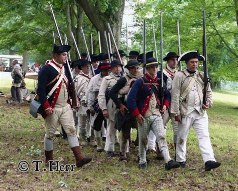 3rd New Jersey Regiment Jersey Greys Gallery American War Of