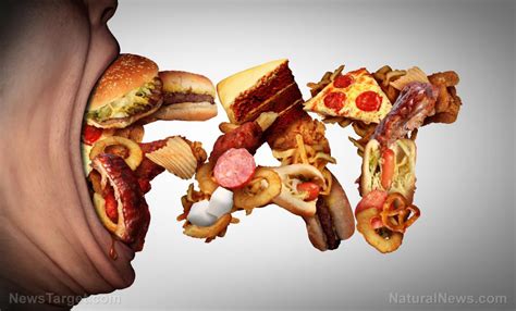 Fighting Your Cravings Researchers Identify New Brain Circuits That