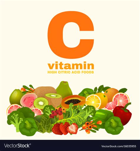 Vitamin C In Food Royalty Free Vector Image Vectorstock