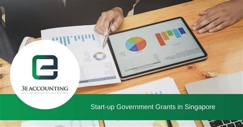 Learn About The 7 Start Up Government Grants In Singapore