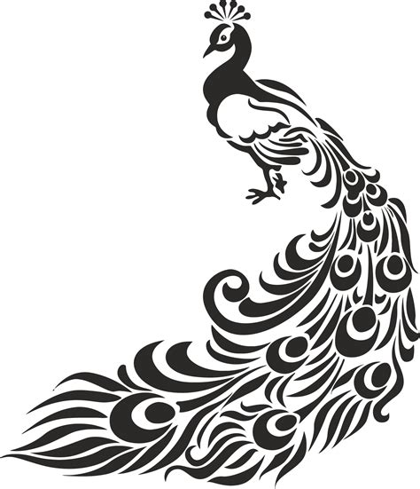 Peacock Stencil Free Vector Cdr Download