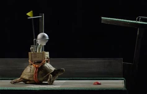 This Extremely Slow Rube Goldberg Device Lasts More Than Six Weeks