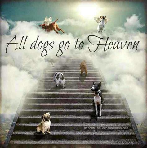 I Hope So ♡♡♡ Dog Heaven Dog Love Dog Life