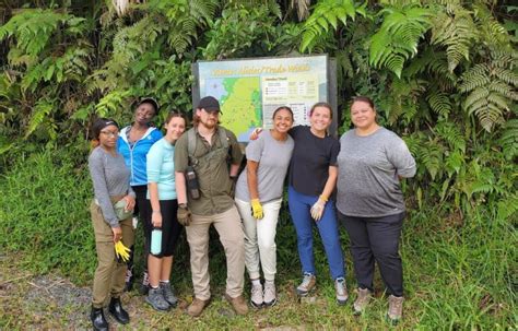 Helping Hands Apsu Volunteers Work To Sustain Puerto Ricos El Yunque