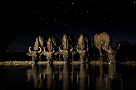 Stunning National Geographic Travel Photographer Of The Year Images