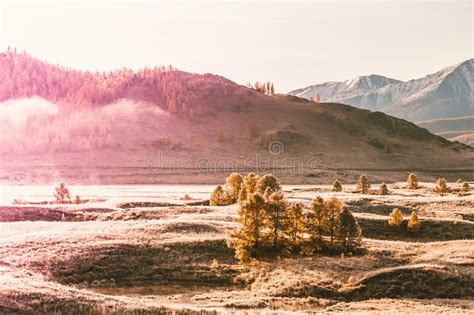 Beautiful Lake With Fog In Mountain Valley At Sunrise In Autumn Stock