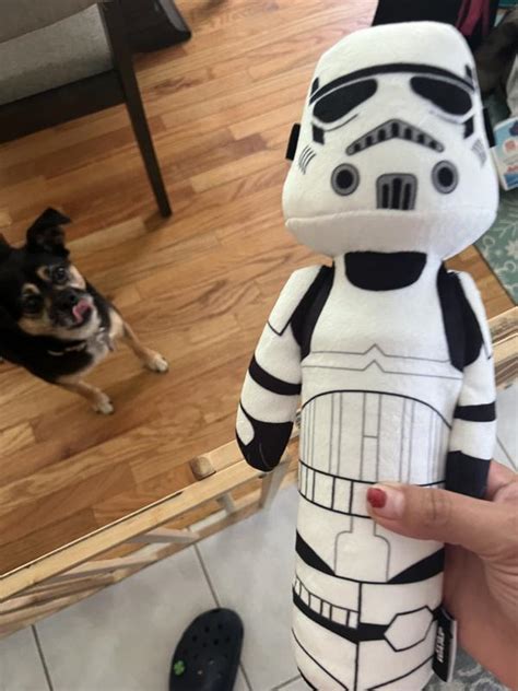 Star Wars Stormtrooper Bottle Plush Squeaky Dog Toy