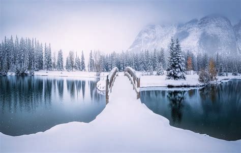 Winter Landscape Canada Téli Táj Kanada Megaport Media Képek