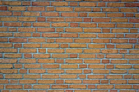 Brick Wall Wall Brick Brickwork Yellow Brick Brick Texture