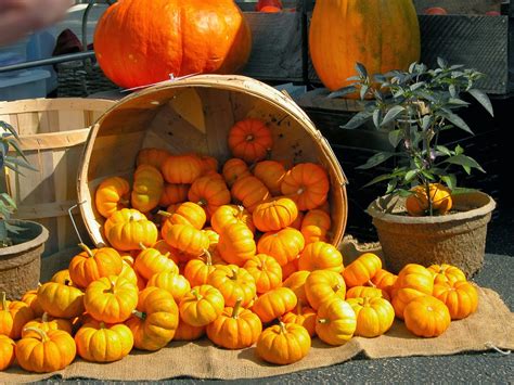 Franklin Downtown Partnership Harvest Festival Is Today