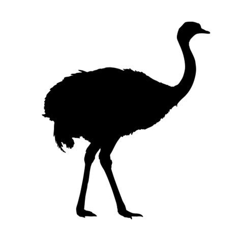 Download OSTRICH SILHOUETTE WALL DECALS (Safari Animal Decor ...