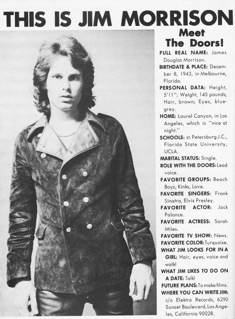Jim Morrison Biography Prime Biography