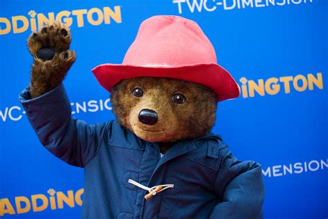 Paddington Bear Is Peruvian Sequel Will Take Him Back To His Roots