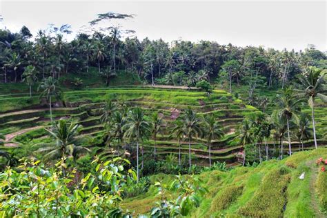 Romantic Guide To Bali Things To Do In Bali For Couples Bali Things