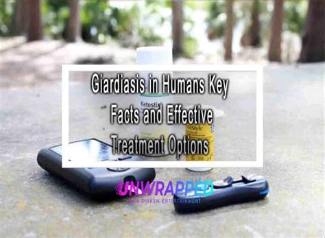 Giardiasis In Humans Key Facts And Effective Treatment Options
