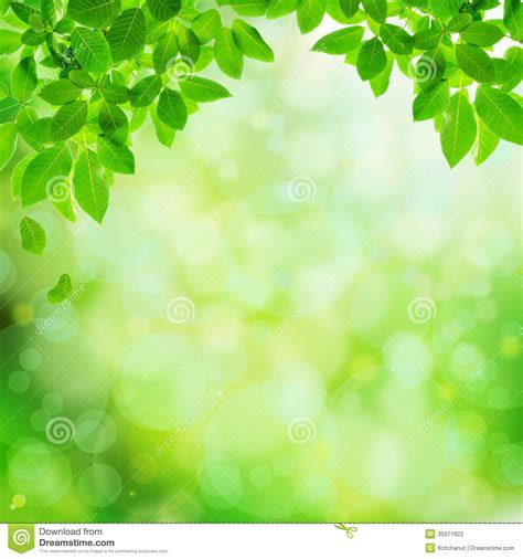 Green Natural Abstract Background Stock Illustration Image 35971822