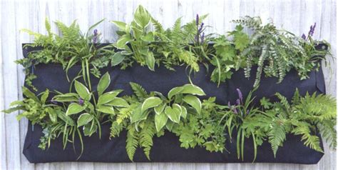 How To Make A Living Wall Mother Earth News