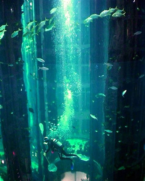 » AquaDom in Radisson Blu Hotel, Berlin – Germany