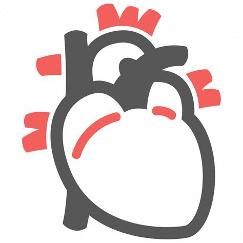 Cardiology Cardiogram Cardiovascular Heart Icon Download On Iconfinder