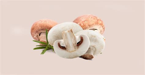 Rüyada Mantar Yemek Ne Anlama Gelir? - Diyadinnet Rüya Tabirleri