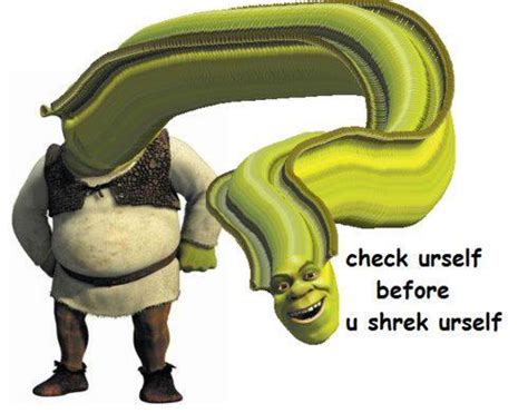 Shrek Is Dreck Check Yourself Before You Shrek Yourself Meme