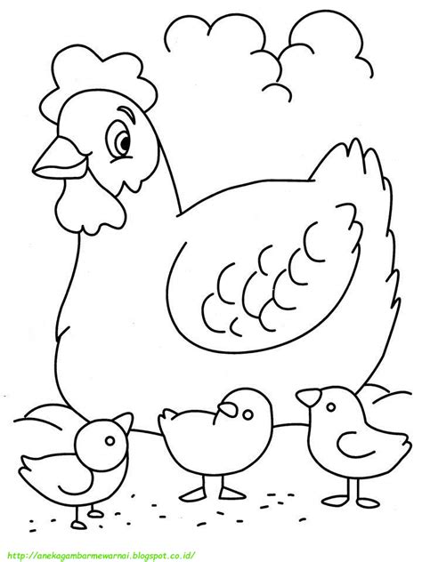 Mewarnai Gambar Anak Ayam Dan Induknya